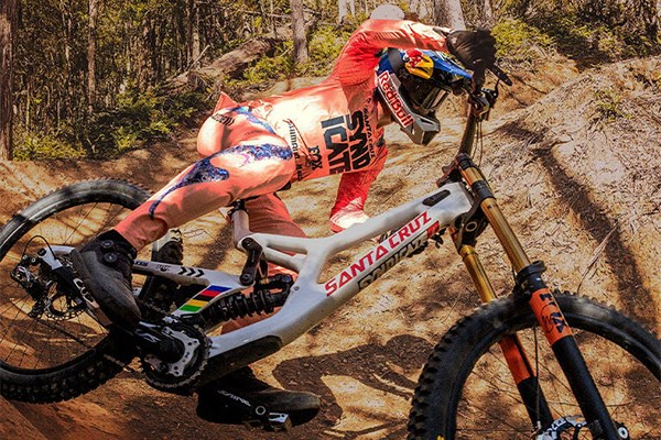 Loic Bruni fox Dh pants